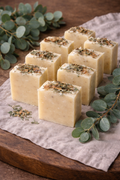 Green Remedy - Eucalyptus & tallow for a clean, refreshing cleanse